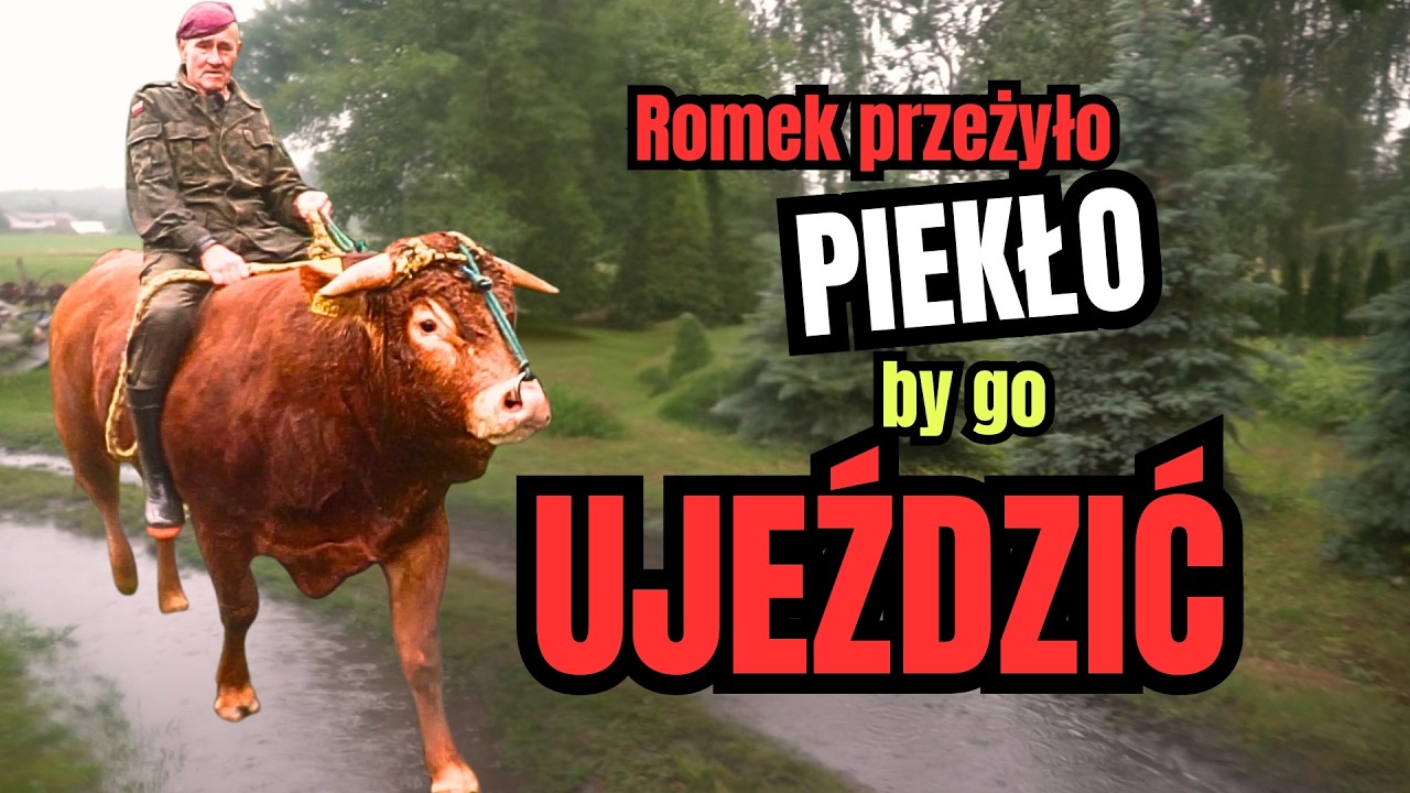 ROMEK pierwszy raz dosiadł nowego BYKA! Kilka razy zrzucił go na GLEBĘ