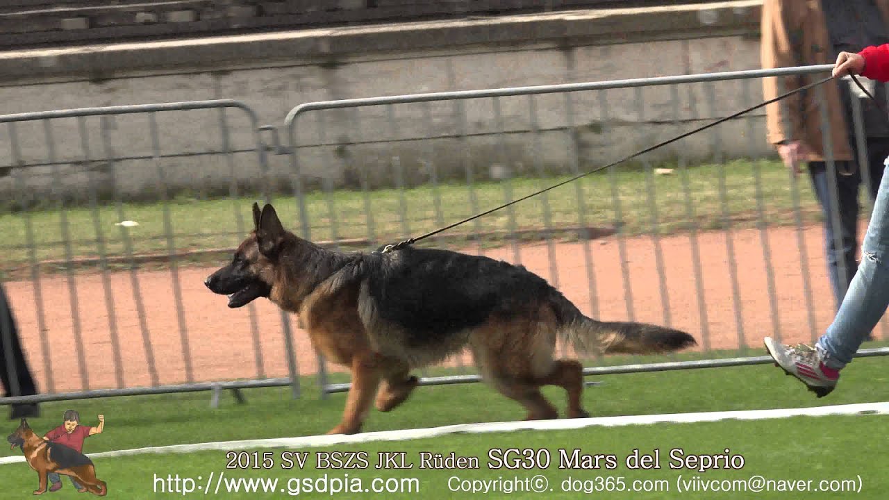 2015 SV-BSZS(JKL R&uuml;den) SG30 Mars del Seprio