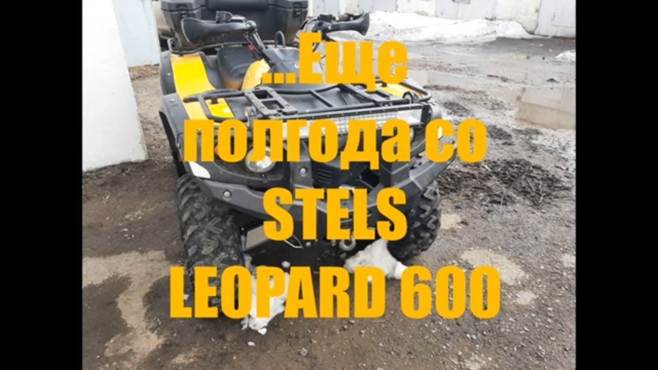 Еще полгода на STELS LEOPARD 600, по лесам и болотам