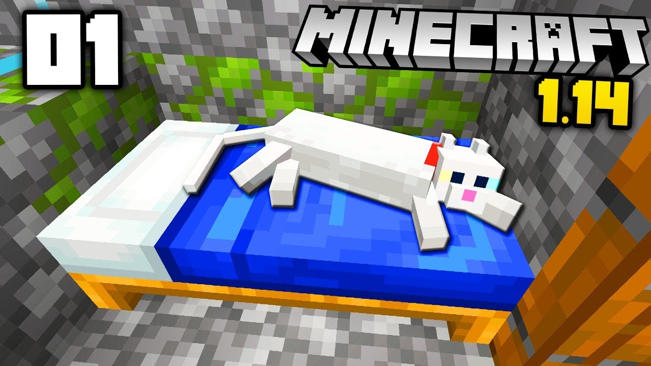 CEL MAI BUN INCEPUT! ► Episodul 1 ► Minecraft 1.14