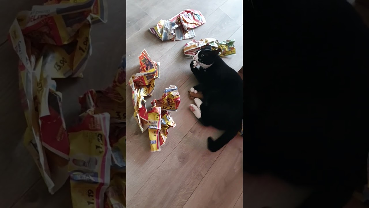 speelgoed muis kat met geluid