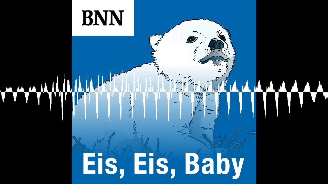 Tiertraining statt Langeweile: So beschäftigt der Zoo Karlsruhe seine Eisbären - Eis, Eis, Baby