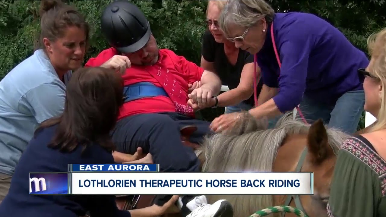 Seeking therapy? Try horseback riding
