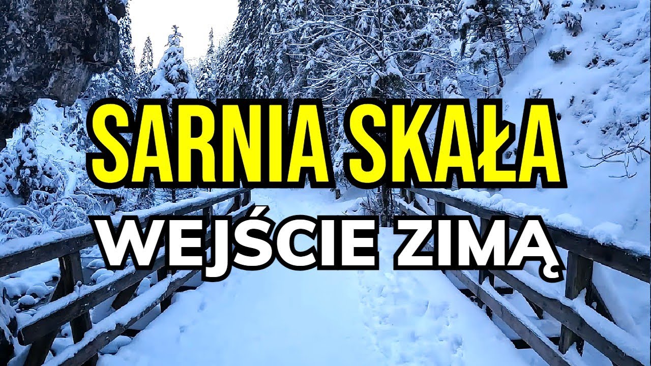 SARNIA SKAŁA ZIMĄ OD SKOCZNI W ZAKOPANEM PRZEZ DOLINĘ BIAŁEGO!