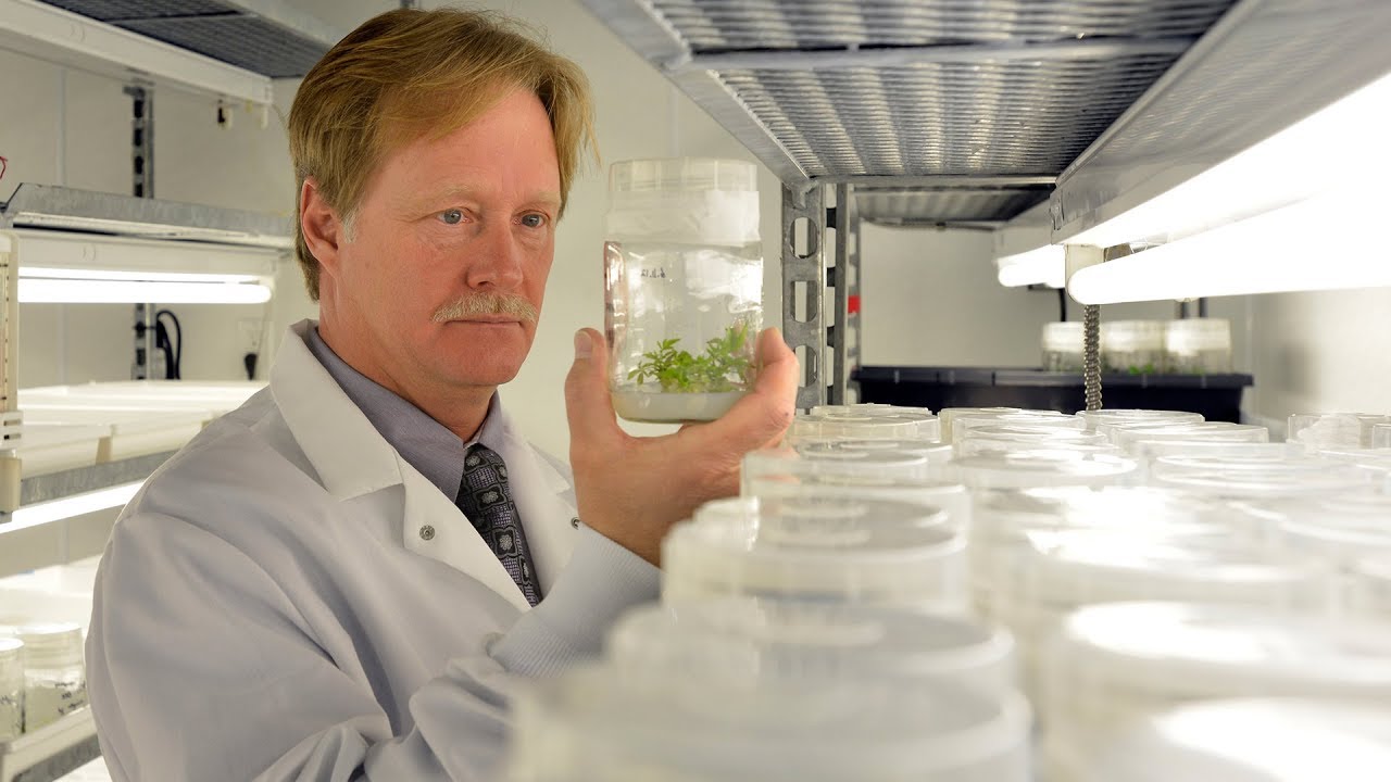 Former CanniMed CEO Launches New Pot Company