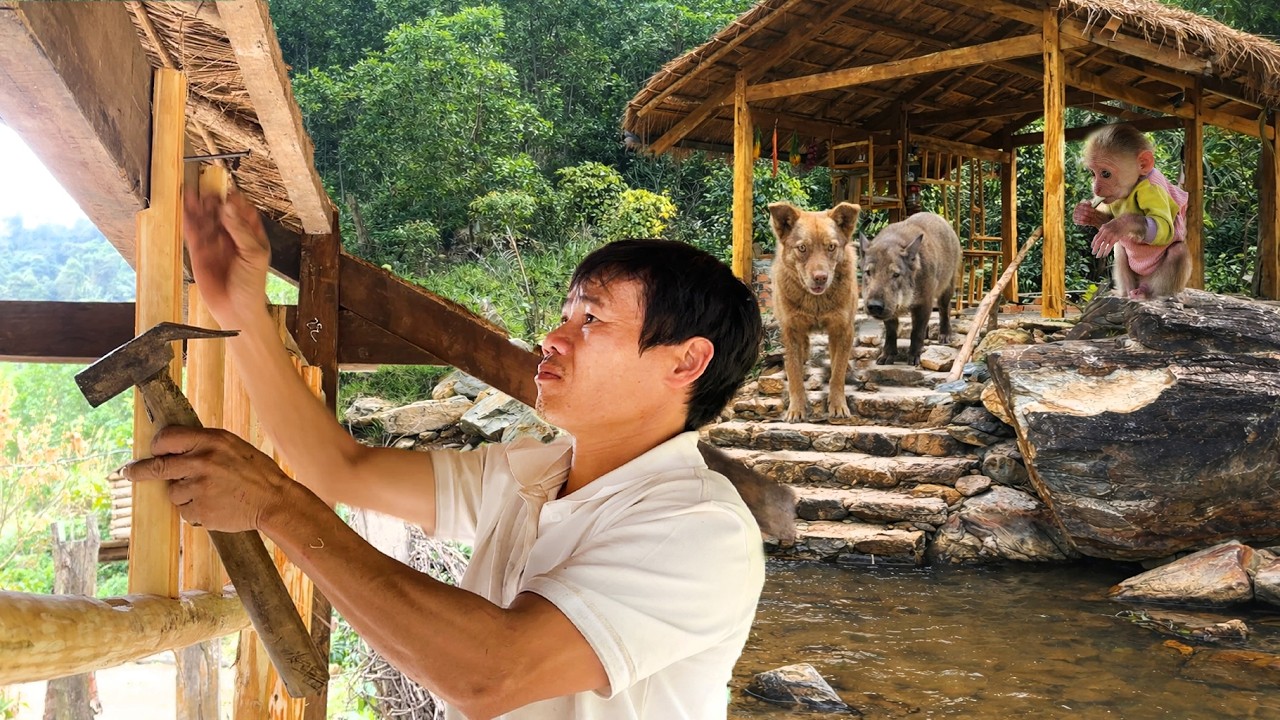 Bankrupt CEO renovates wooden kitchen in deep forest live with animals 