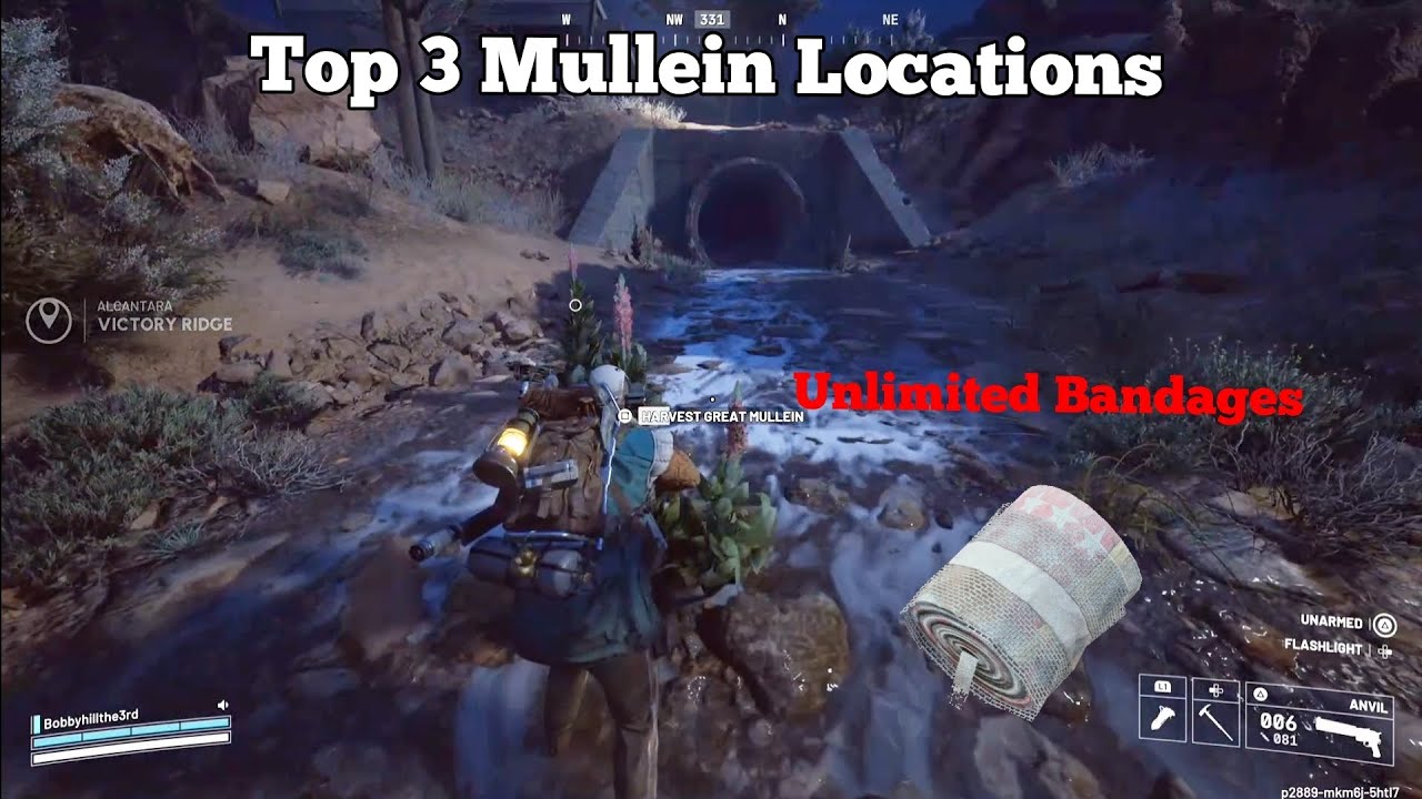 My Top 3 locations for Great Mullein | Arc Raiders 