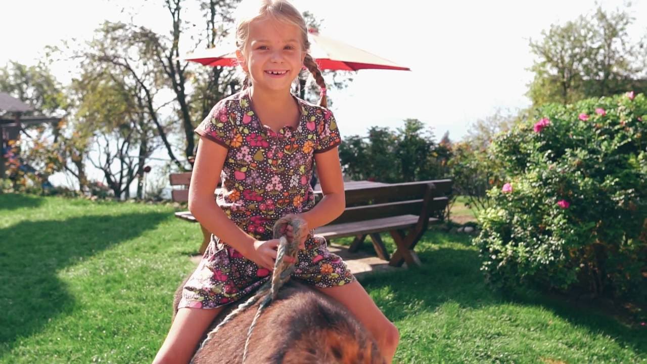 #WieWirLeben - Urlaub am Bauernhof Essleggerhof in Kärnten