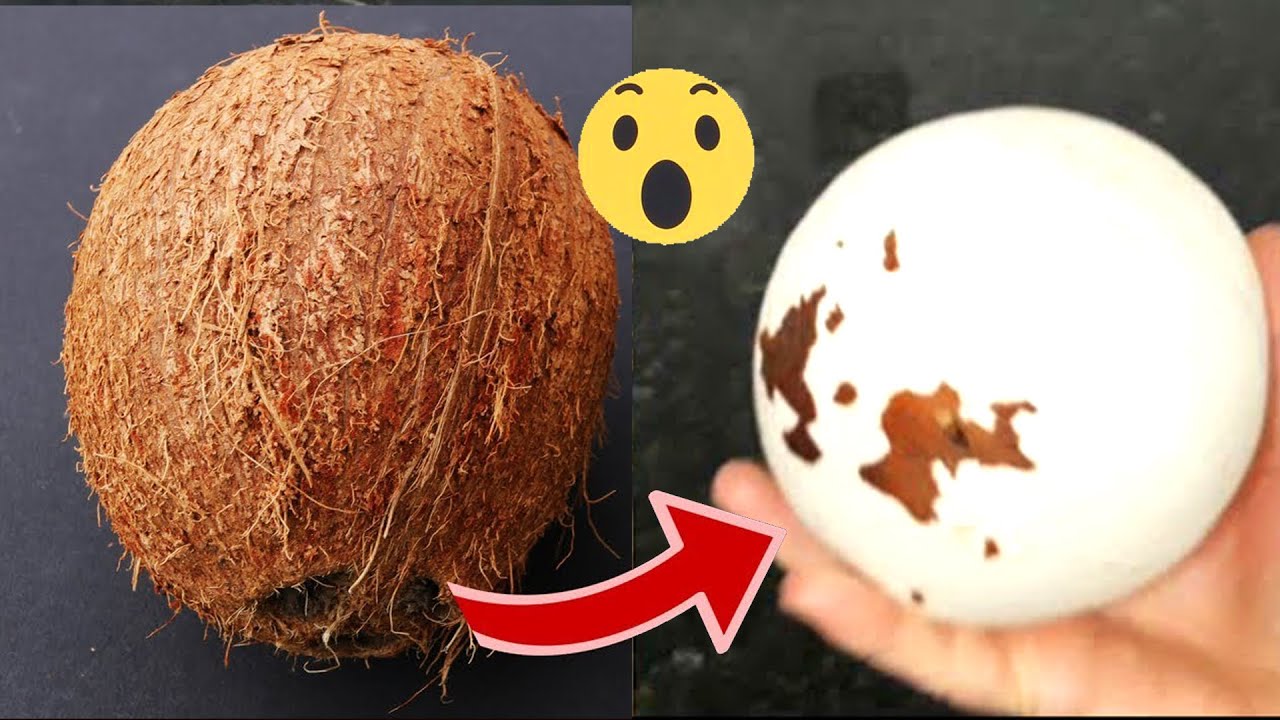 COMO CONSERVAR COCO POR MAIS TEMPO | JEITO F&Aacute;CIL E R&Aacute;PIDO