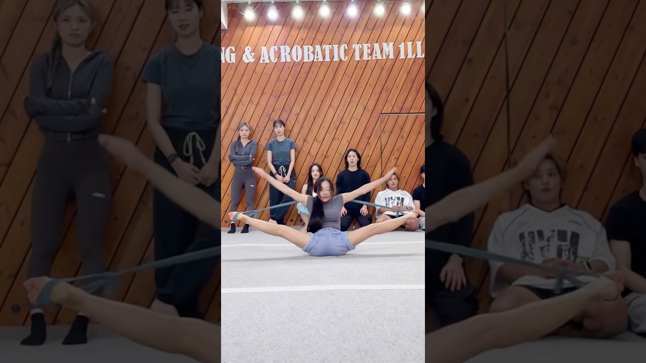 유연성 챌린지⁉️😱 Flexibility Challenge