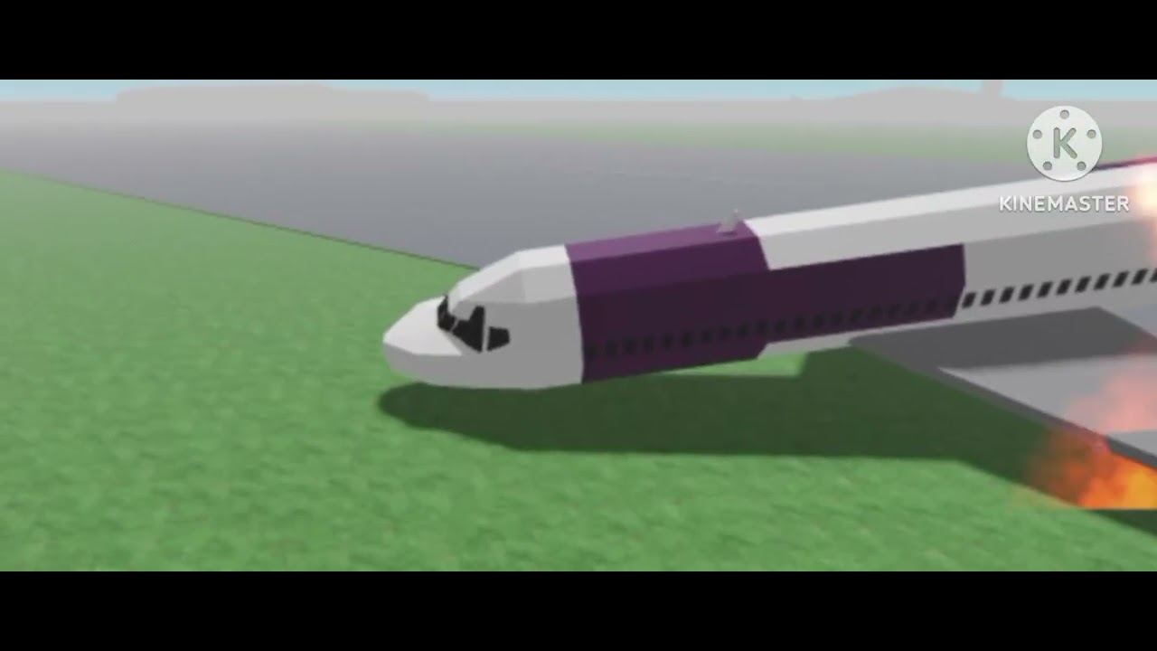 Purple airlines flight 6110