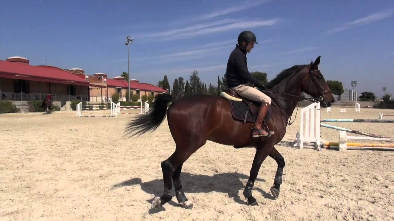 Practicar vueltas cortas y largas