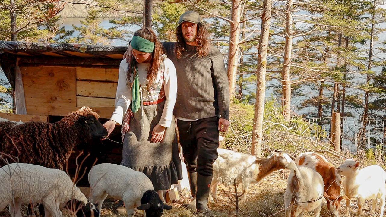 Expanding Our Off-Grid Island Farm &ndash; New Animals Arrive