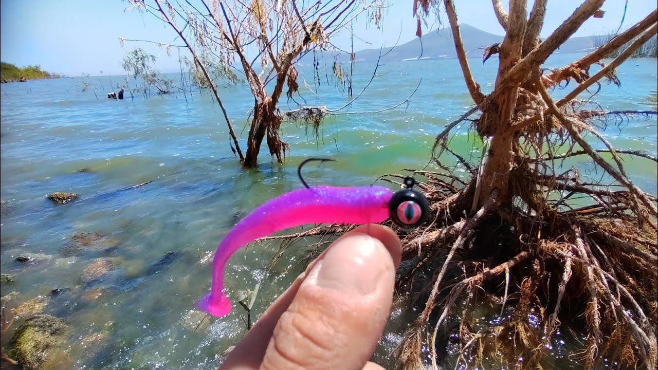 Las Mejores Pescas NO se PLANEAN. Muchas capturas!!!