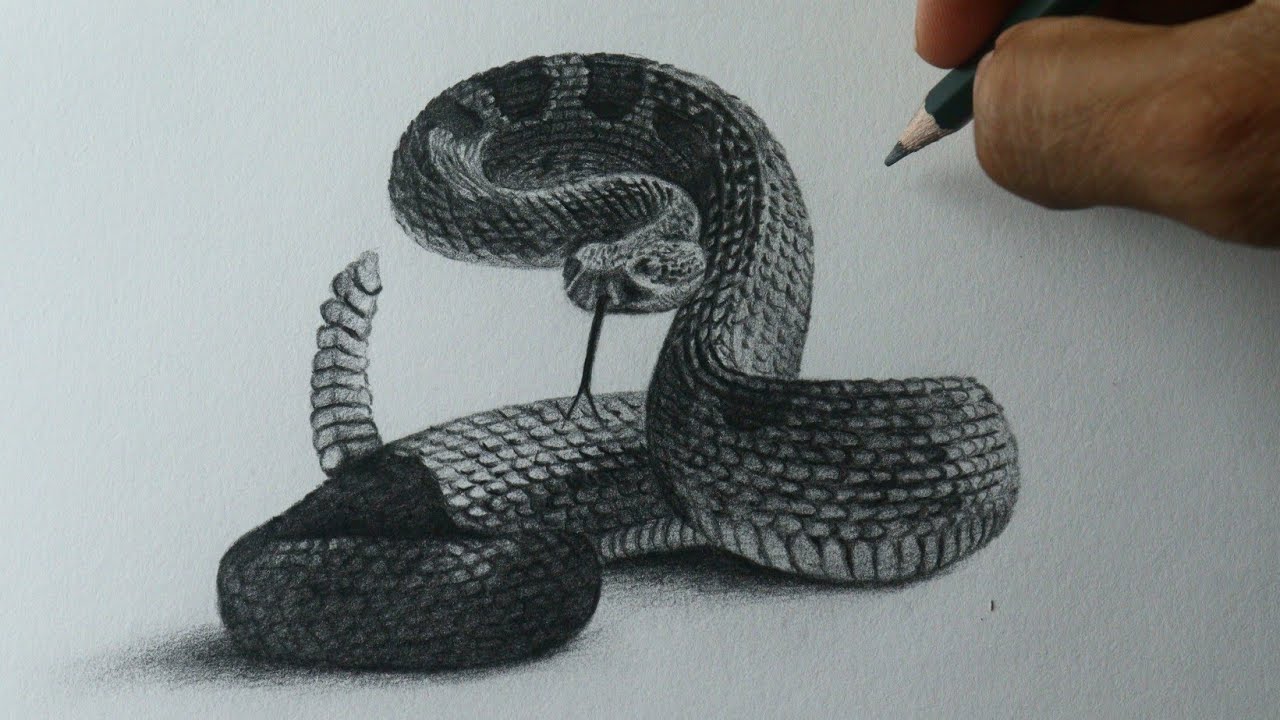 Como desenhar uma Cobra Cascavel realista