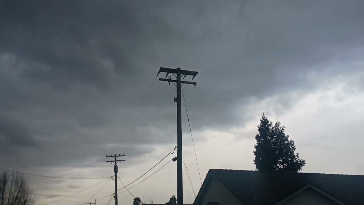 El hermoso día se volvio tormentoso y los gatos encontraron refugio en casa 🌨️