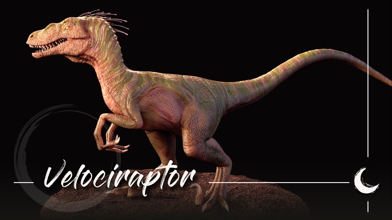 3D Creature Turntable ☆ Raptor Roaring