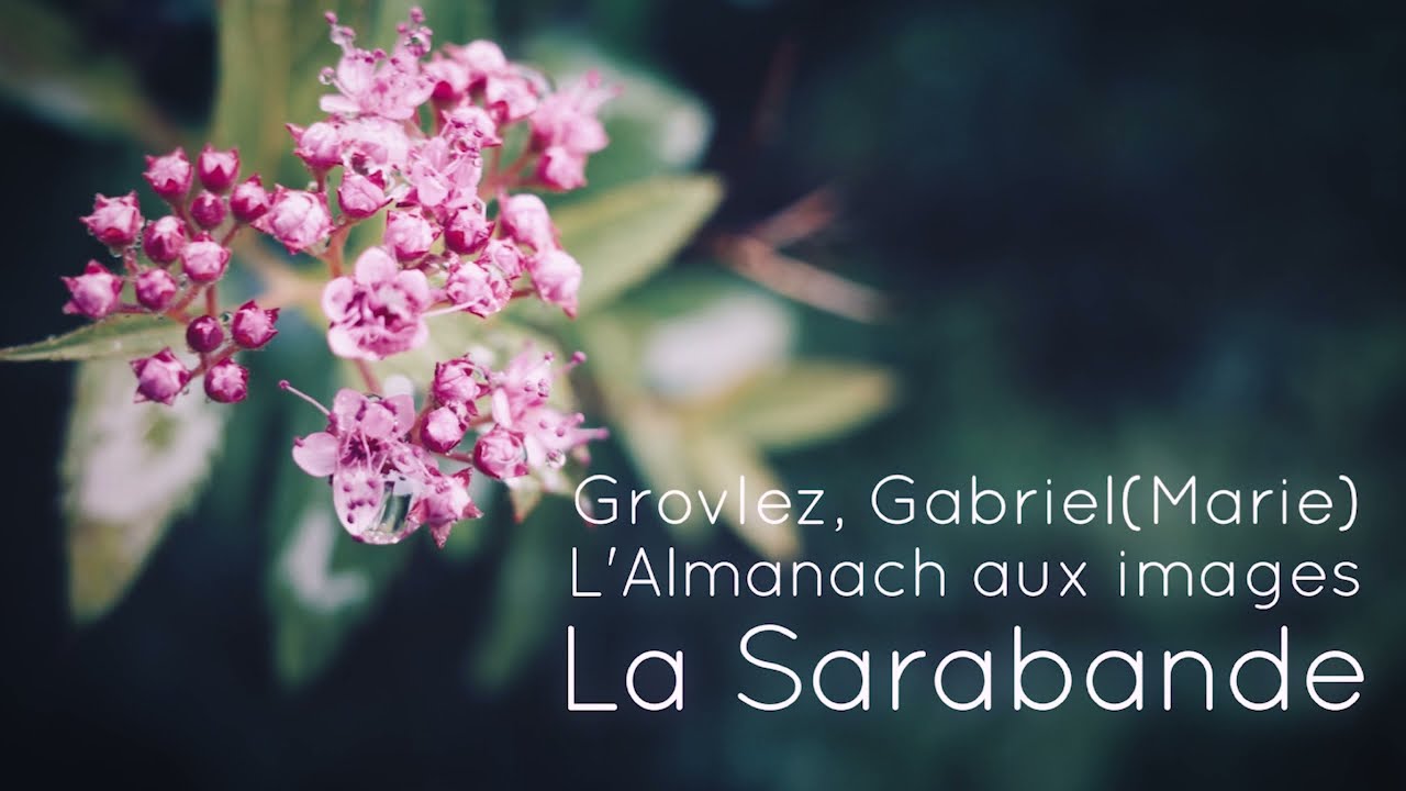 グロヴレーズ：絵の暦より　サラバンド/Grovlez,Gabriel(marie) L'Almanach aux images 