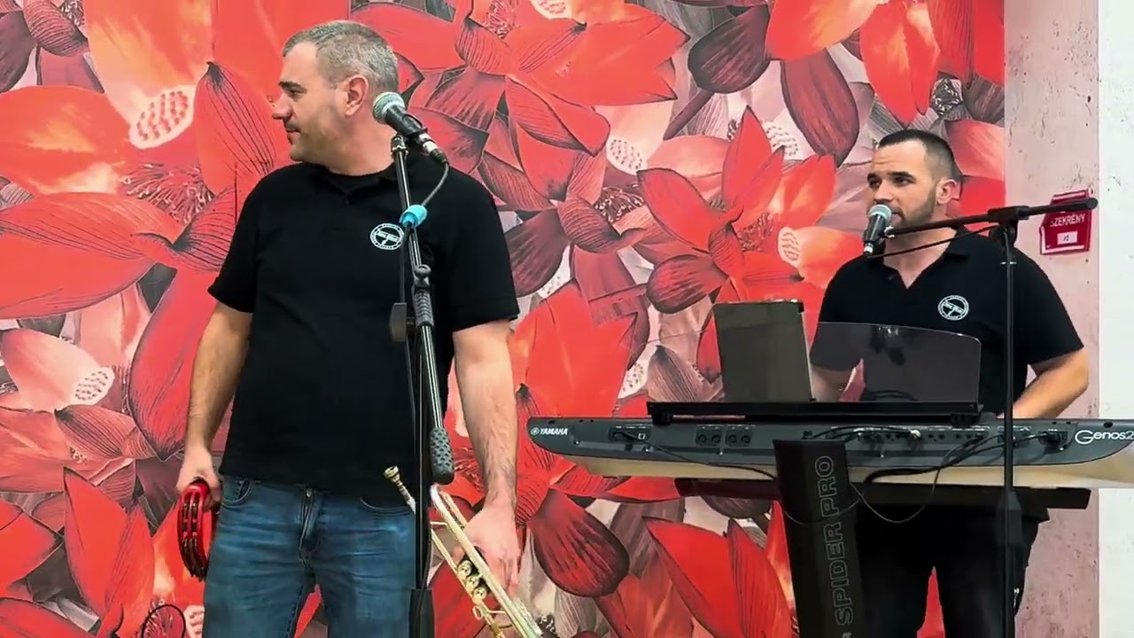 R&aacute;cz Oliv&eacute;r &eacute;s a Central Zenekar - K&aacute;poszta k&aacute;poszta&hellip; - Sz&aacute;z forintnak - T&uacute;r a diszn&oacute; #cs&aacute;rd&aacute;smix