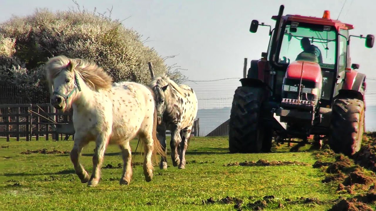 Farming Day in Romania-Tractor New Holland M135 Fiatagri-Nojorid-Apateu-Bihor-Romania-05.04.2021