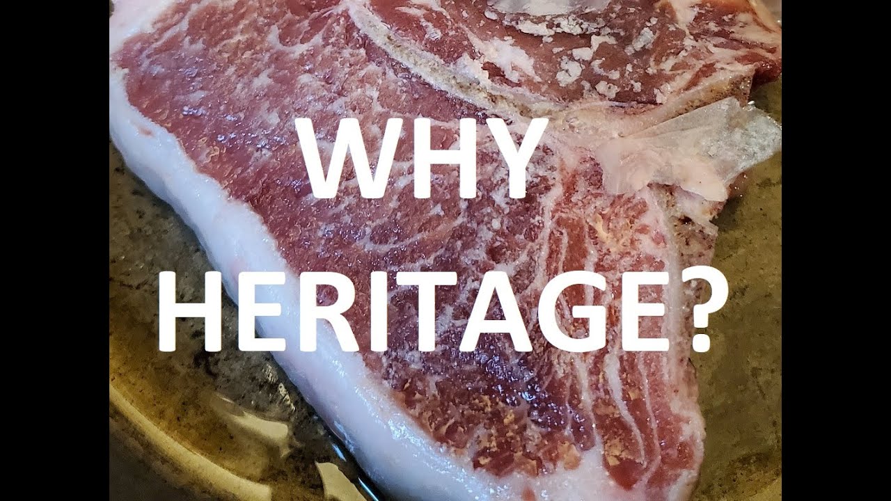 Why Are Heritage Breeds Better?