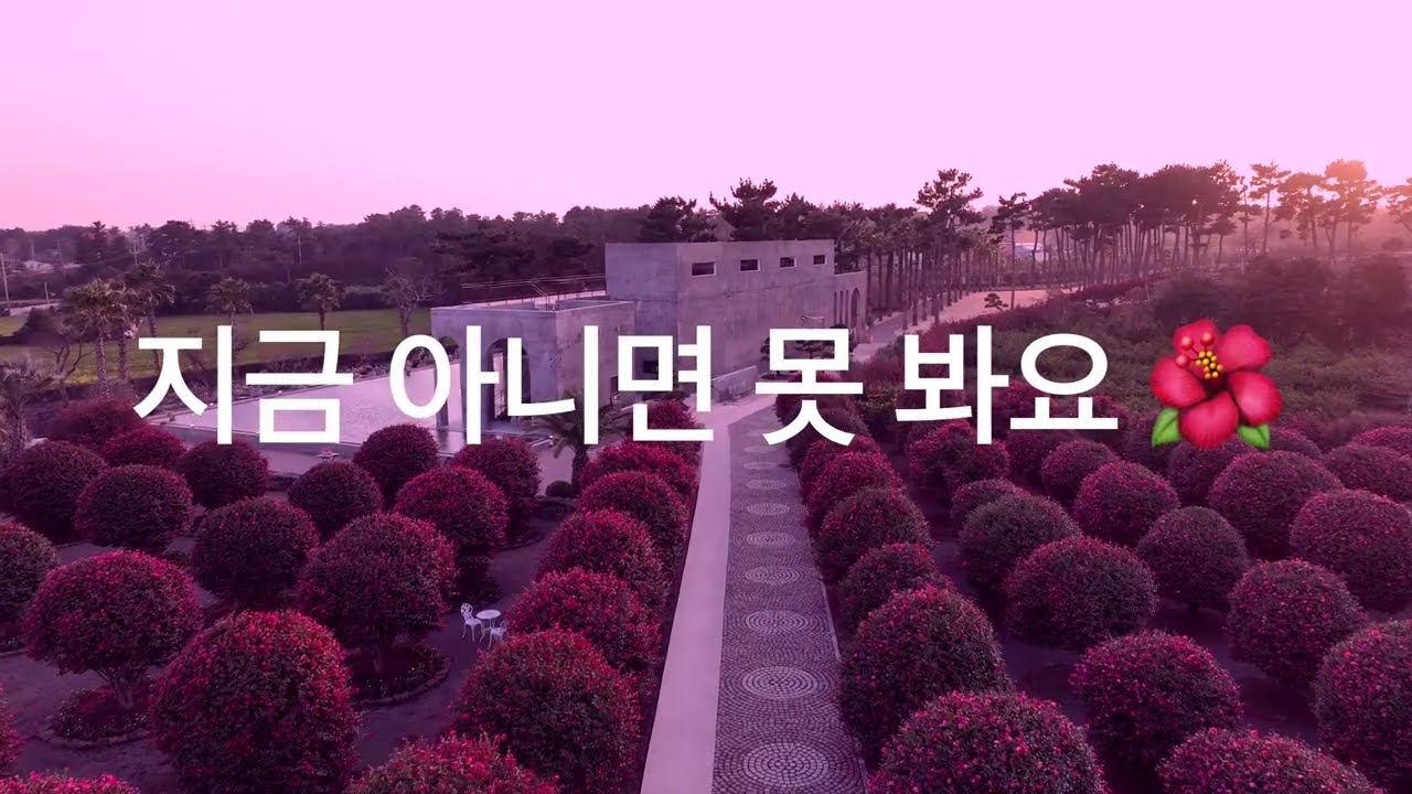 하늘에서 본 붉은 제주, 지금 삼달리로 떠나야 하는 이유 (4K Drone)