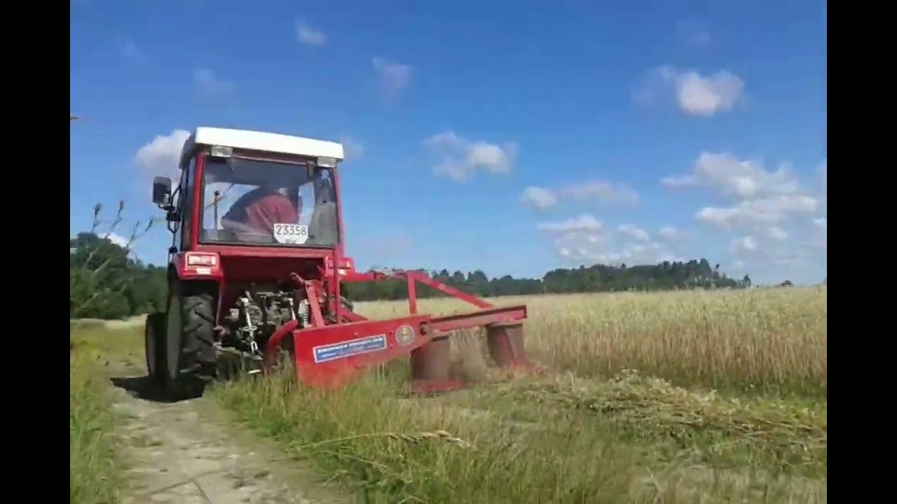 Косим овес,DongFeng 244 Cab , ДонгФенг 244 , роторна польська z-173/1 ,14.07.17
