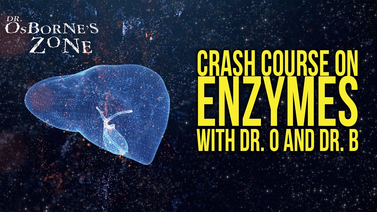 Crash Course on Enzymes with Dr. O and Dr. B! - Dr. Osborne's Zone