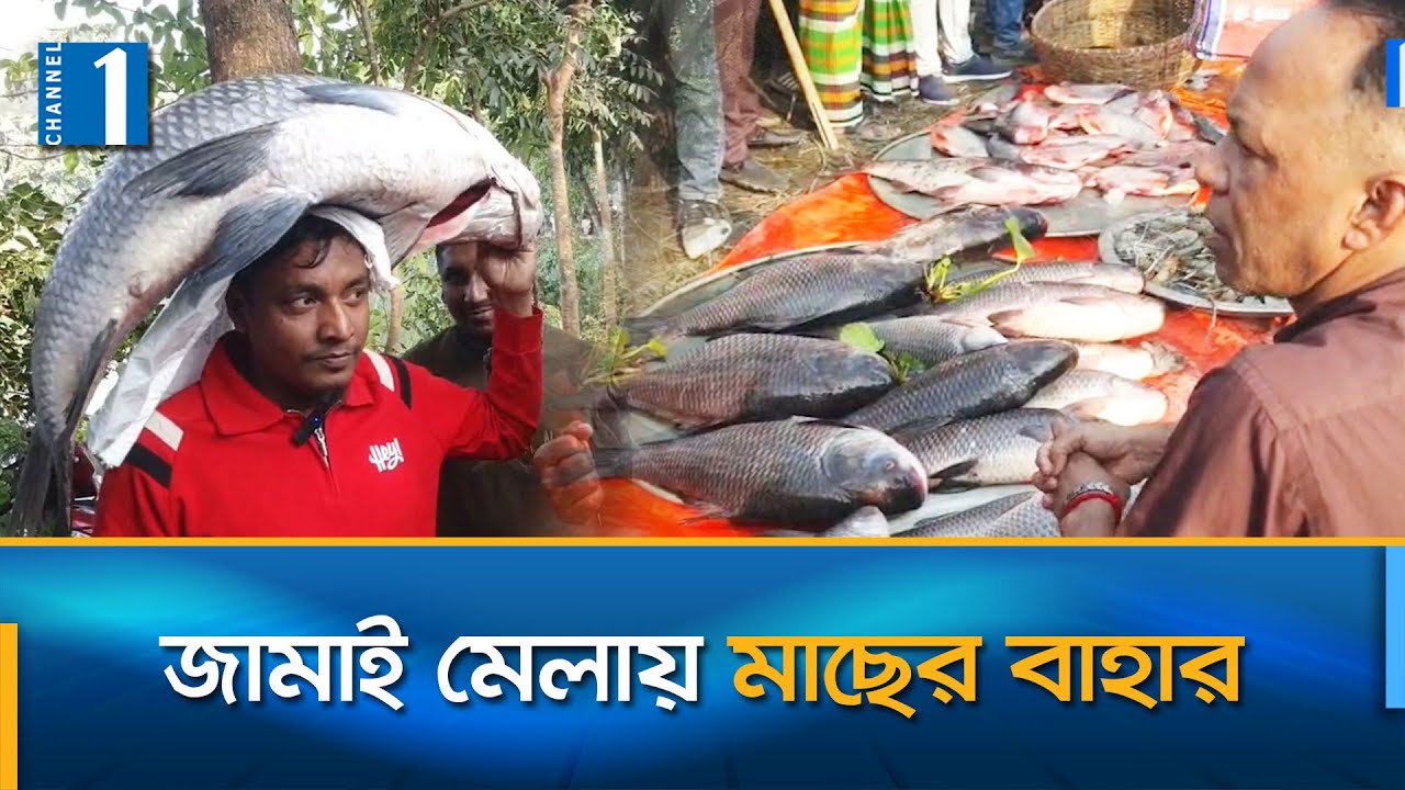 গাজীপুরের কালীগঞ্জে ঐতিহ্যবাহী মাছের মেলা কেমন জমলো এবার? | Channel One News