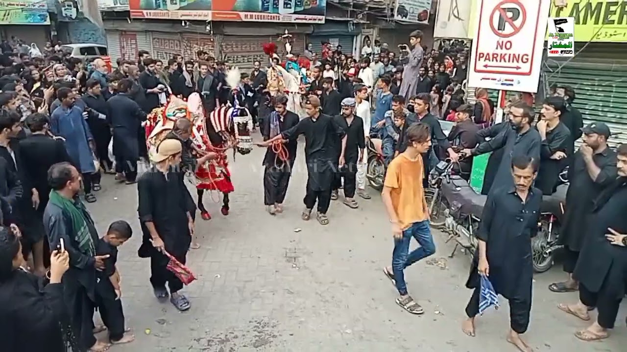 10 Muharram 1446 | Markazi Julus Sheerazi Imambargah Lajpat road Hyderabad | Al Mukhtar Live Azadari