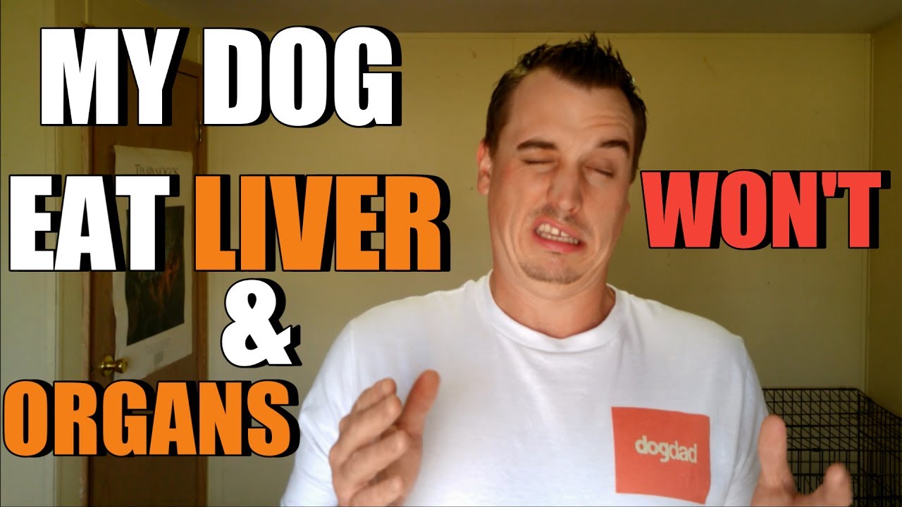 My Dog Won't Eat Liver & Organs  - Raw Feeding 101