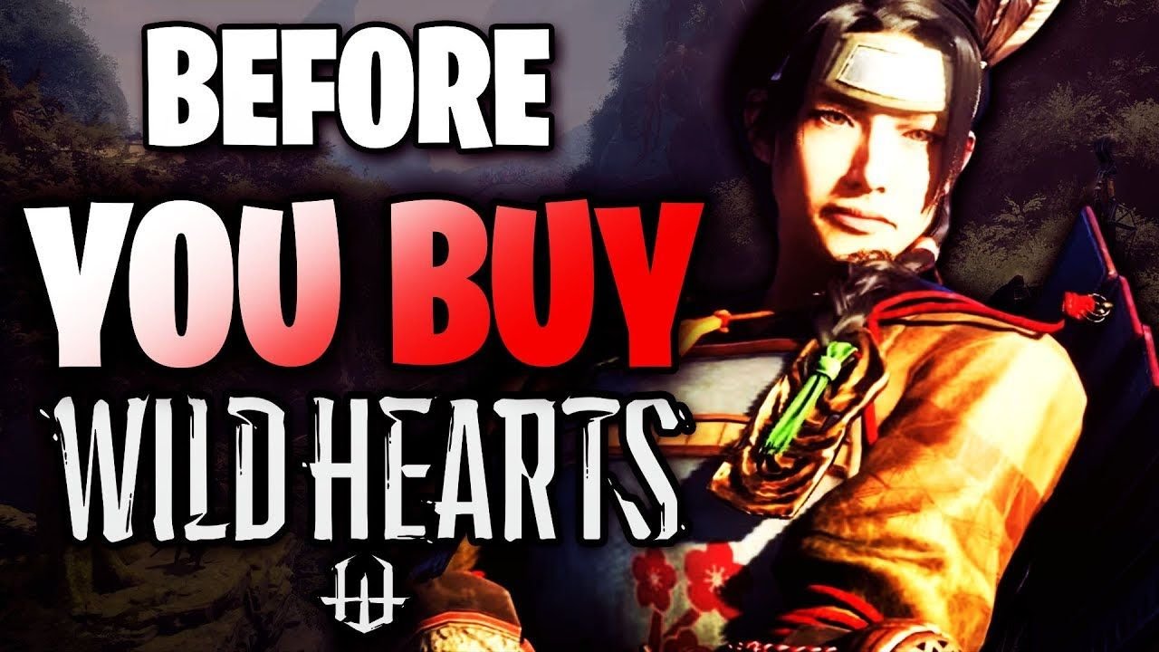 Should YOU BUY Wild Hearts