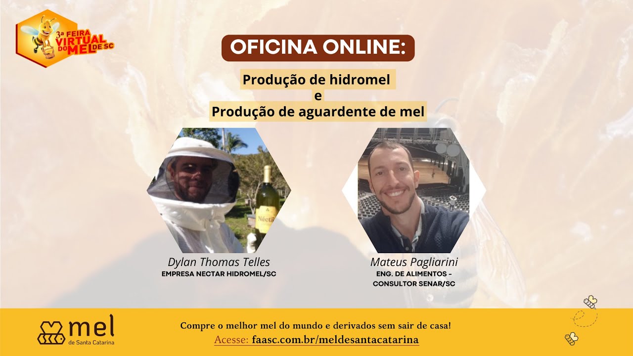 Produção de hidromel e Produção de aguardente de mel