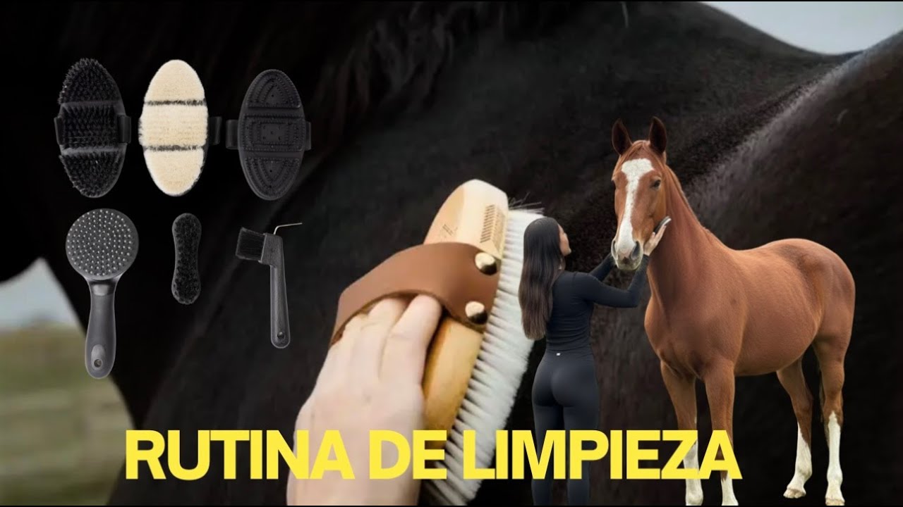 🐴 ¿Cómo Cepillar Correctamente a tu Caballo? | Beneficios y Tips para Crin y Cola