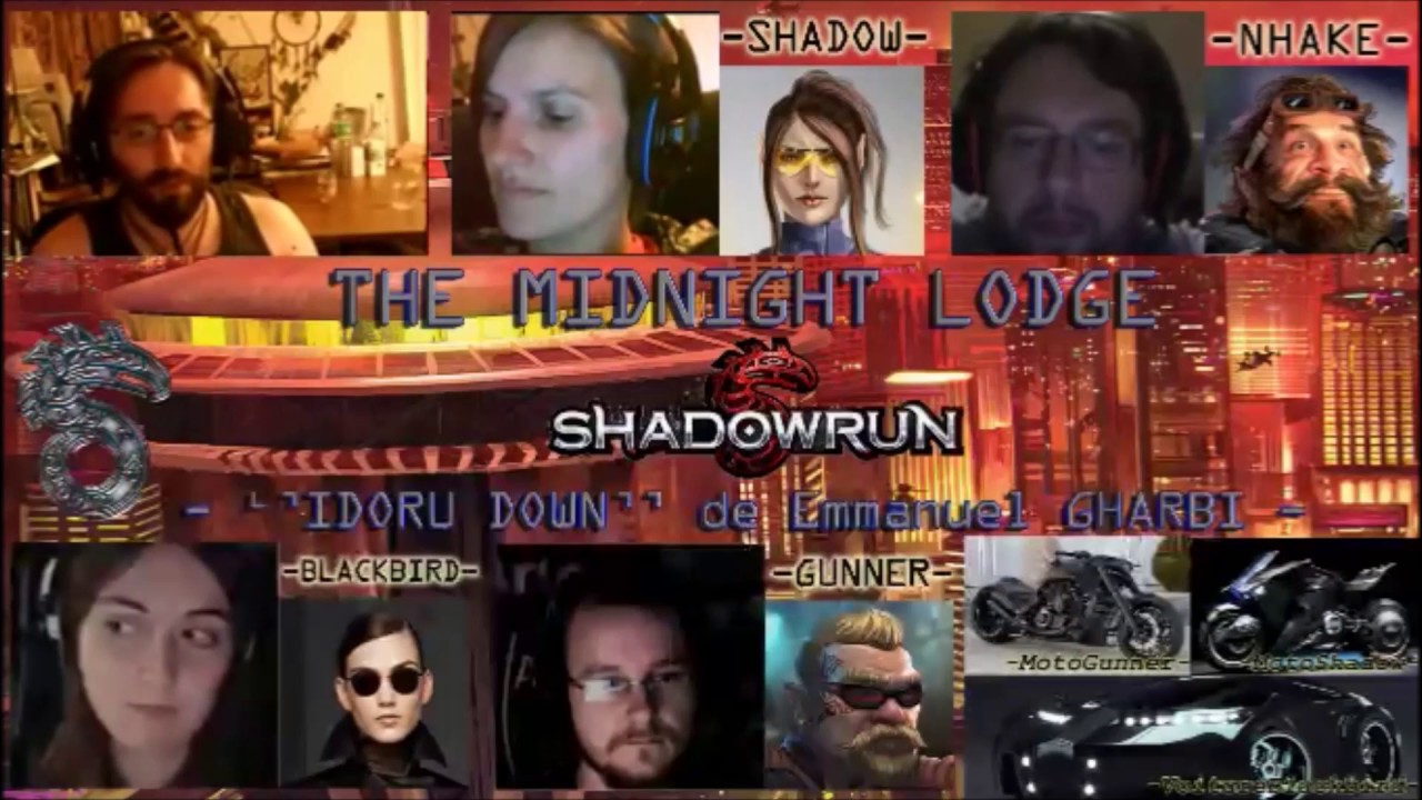 JDR - FR - Shadowrun - Idoru down 1