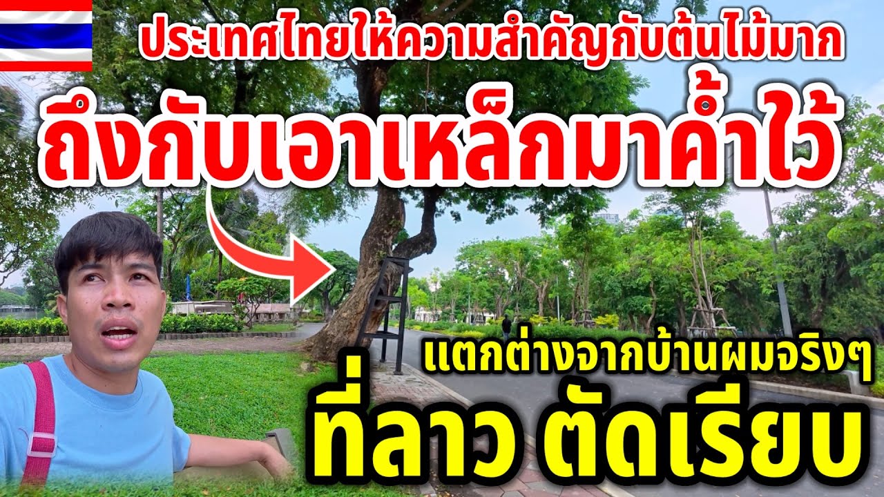 ที่ลาวตัดเรียบ ที่นี่ต้นไม้จะล้มยังค้ำใว้ นี่คือความจริงที่เเตกต่าง บ้านผมคงอีกนาน