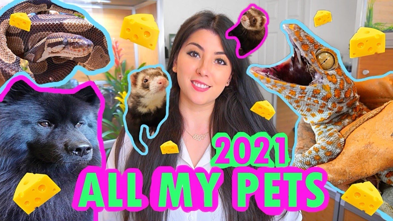 ВСЕ МОИ ПИТОМЦЫ 2021! | EMZOTIC