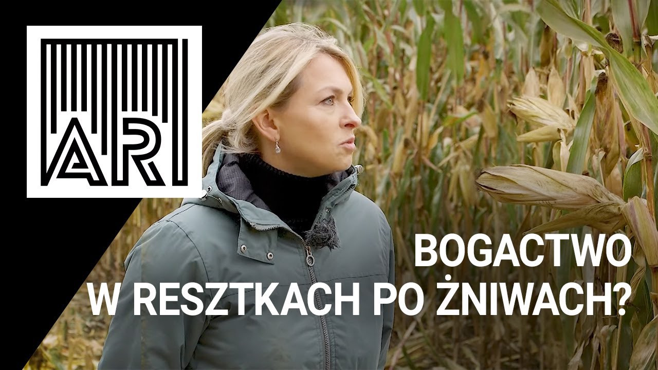 Bogactwo w resztkach po żniwach? || AR #131