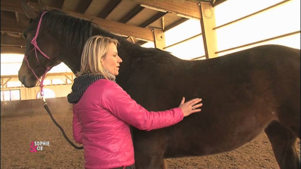 Descendre de cheval pour mieux monter - Equidia Life