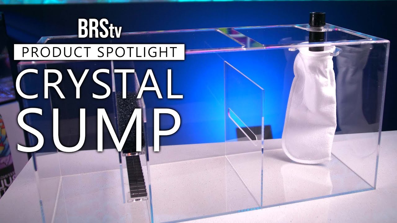 Clean & SIMPLE Reef Tank Filtration! Trigger Systems Crystal Sumps