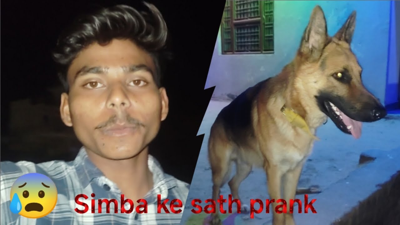 Simba ke sath prank 😱 night me ⚡