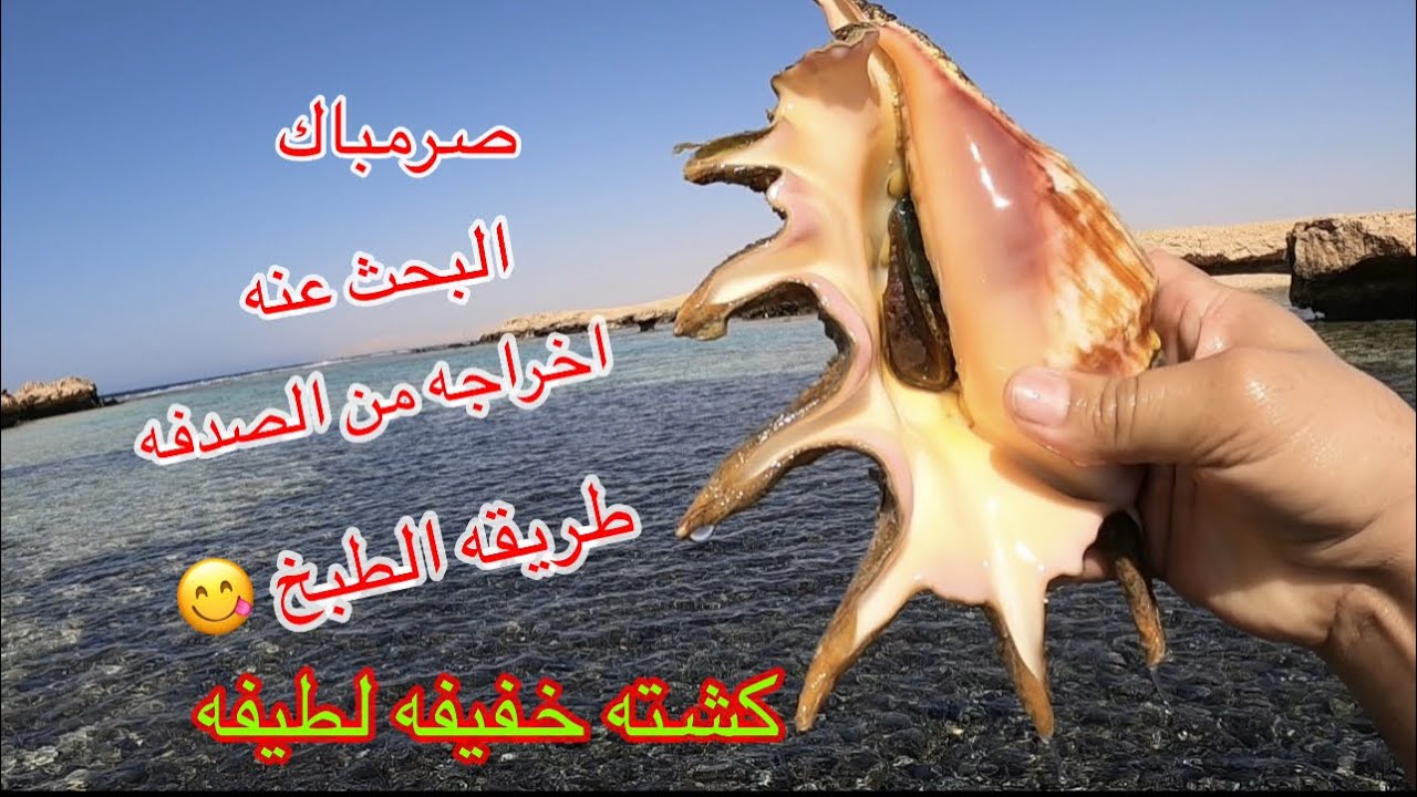 البحث عن الصرنباق في البحر وطبخه (لذيذ)