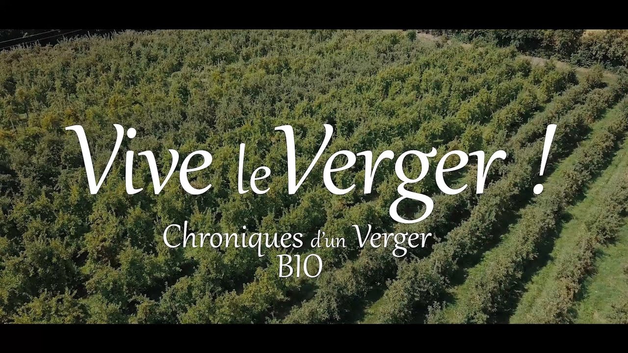 Les Vergers de la Planquette - Vive le verger ! - Chroniques d'un verger BIO