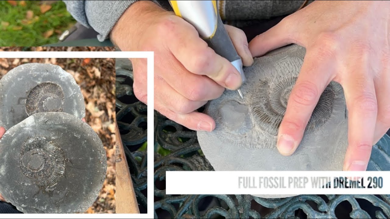 Fossil Prepping a Yorkshire Coast ammonite with just a Dremel 290 & Rotary Tool - Fossils Prep