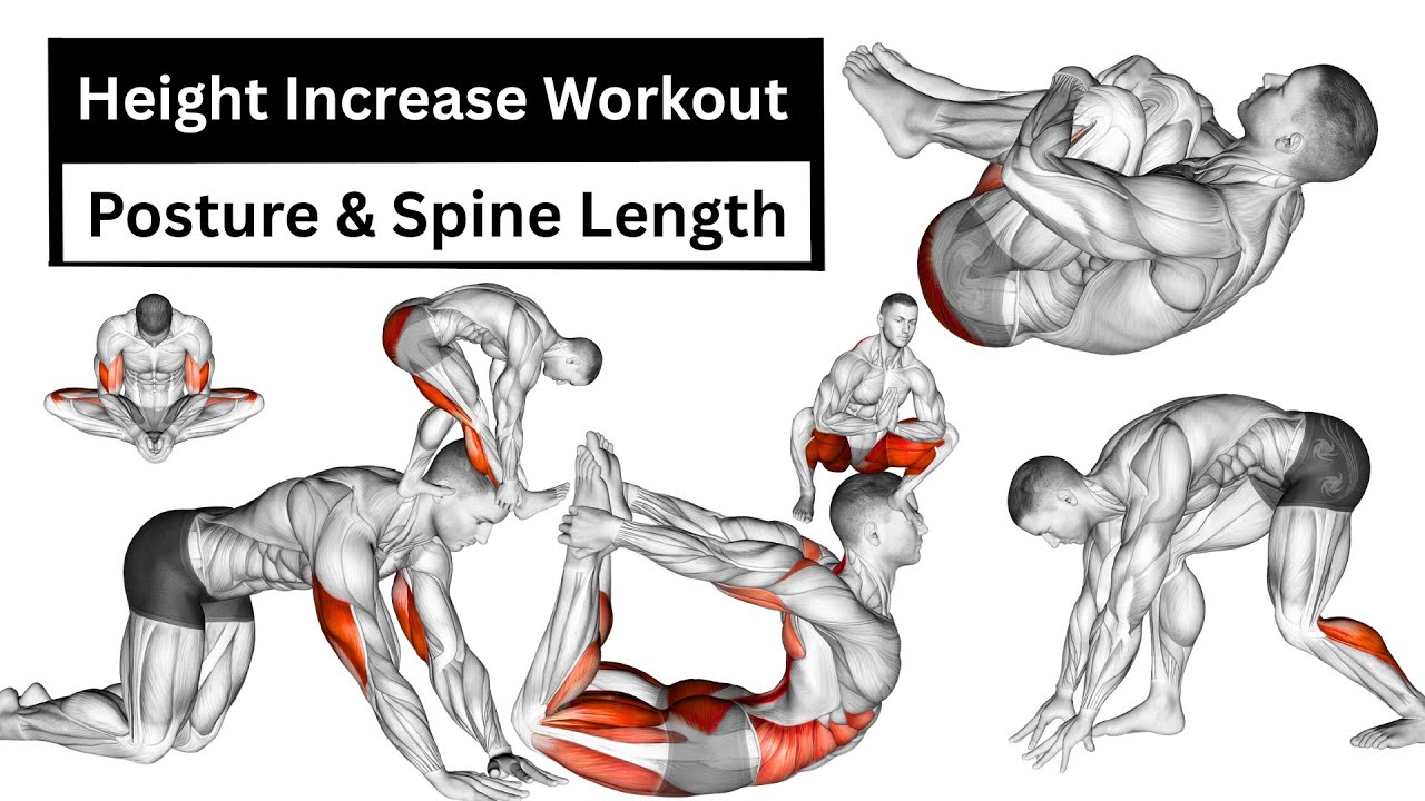 Height Increase Workout | Improve Posture & Spine Length Naturally