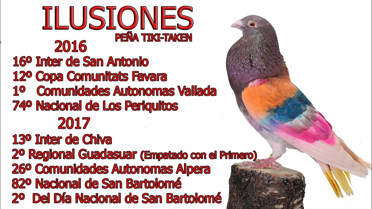 ILUSIONES