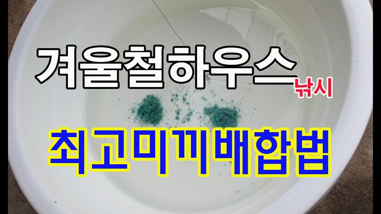 #최고미끼배합법