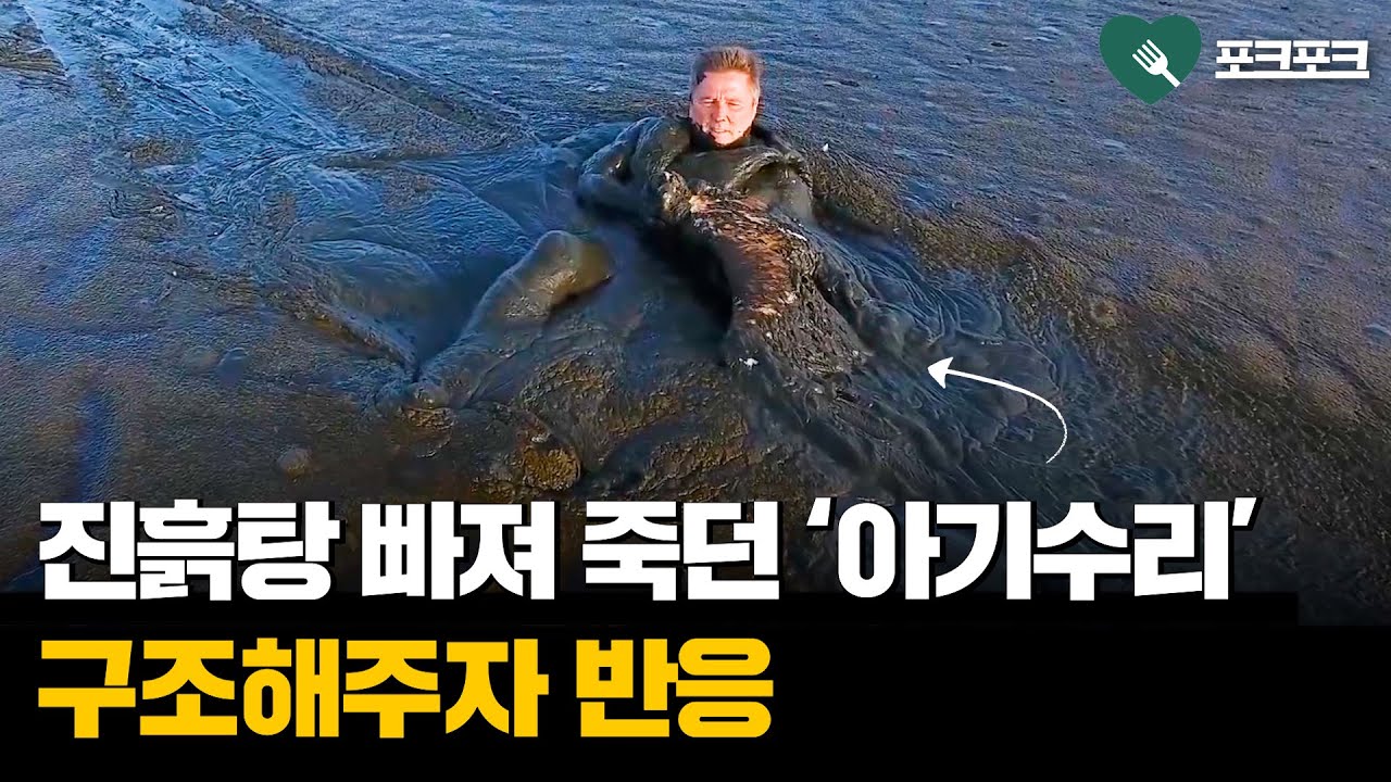 진흙탕에 가라앉던 수리 구조해주자 반응