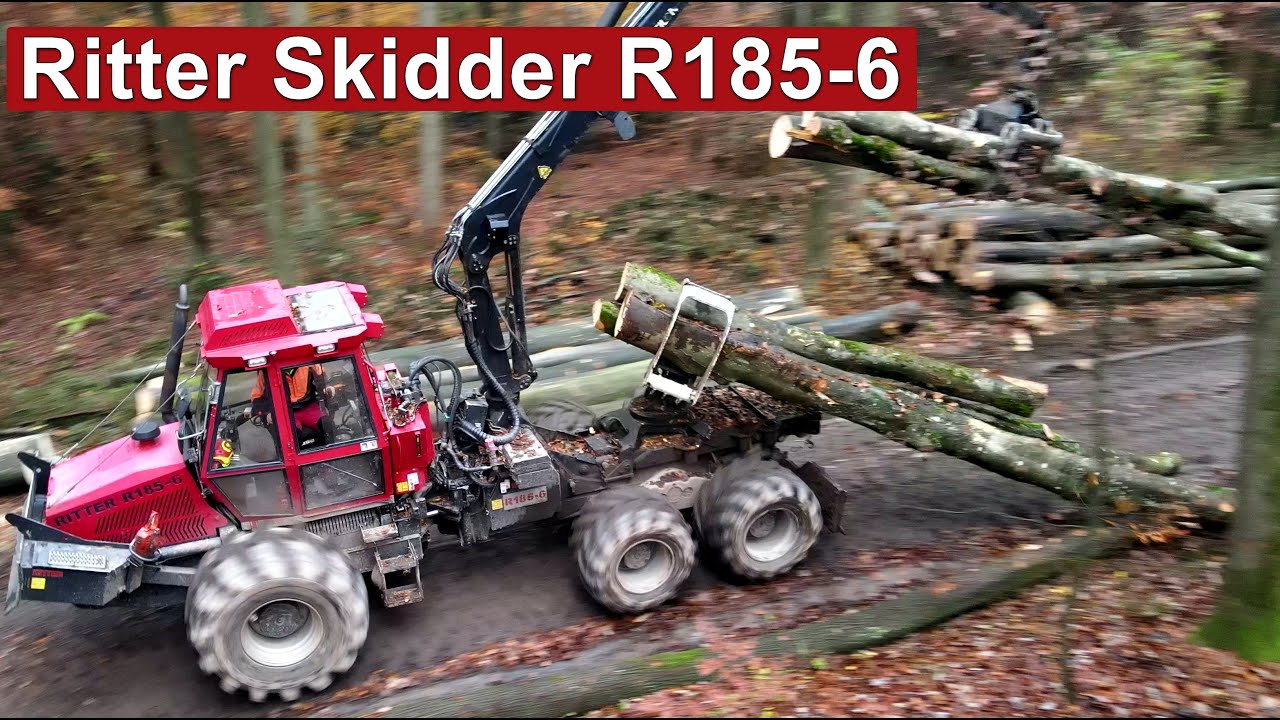 Ritter R185-6 beim Holz sortieren | Schwarzwald