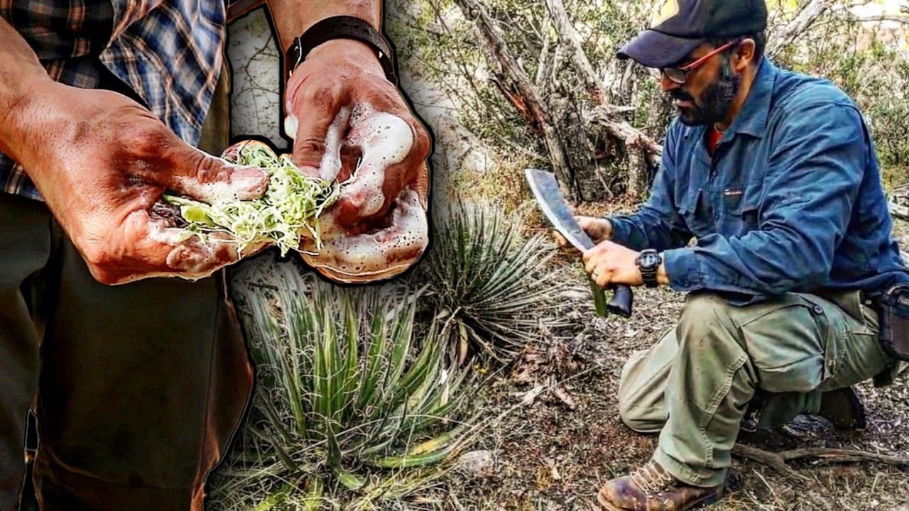 HOW TO Make Easy SURVIVAL Yucca SOAP In 5 Minutes!!!! - (PRIMITIVE SURVIVAL)